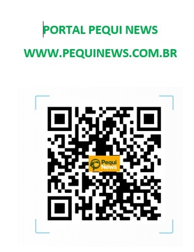 Portal Pequi News
